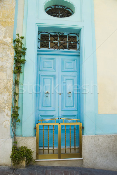 Foto stock: Cerrado · puerta · casa · ventana · azul · planta