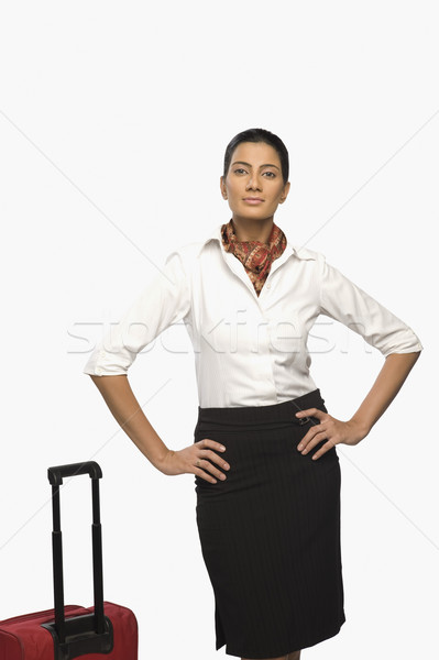 Portré levegő hosztesz csomagok nő szolgáltatás Stock fotó © imagedb