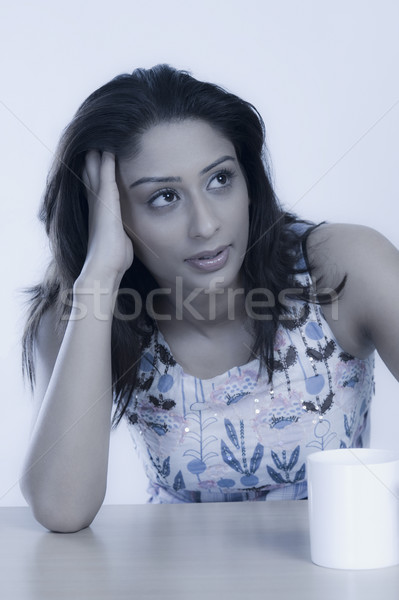 pims_20100712_as0489.jpg Stock photo © imagedb