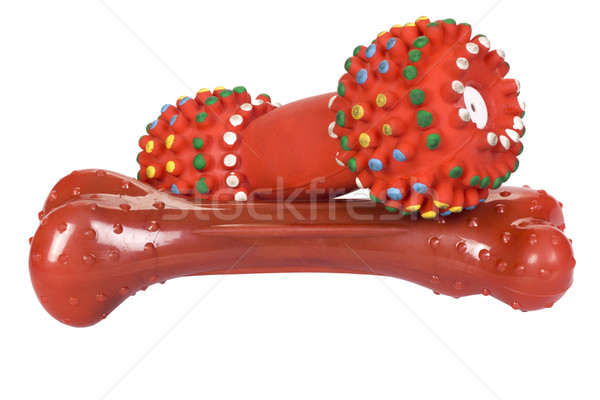Közelkép játékkutya csont súlyzó játék műanyag Stock fotó © imagedb