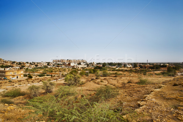 Bush on field with town in background, Jaisalmer, Rajasthan, Ind Stock photo © imagedb
