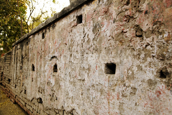 Details of a wall, Agra, Uttar Pradesh, India Stock photo © imagedb
