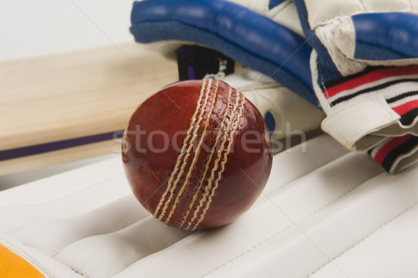 Cricket Ausrüstung Sport Ball Sicherheit Stock foto © imagedb