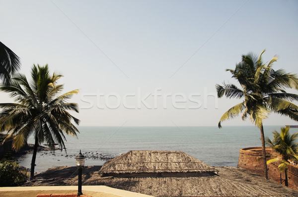Zdjęcia stock: Palm · plaży · goa · Indie · wody · fotografii