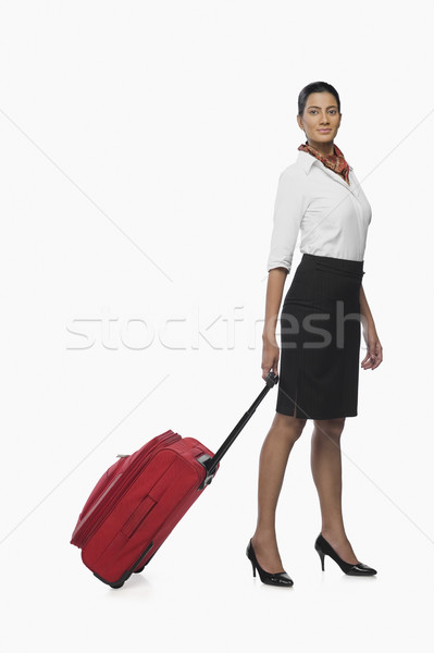 Levegő hosztesz hordoz csomagok nő fiatal Stock fotó © imagedb