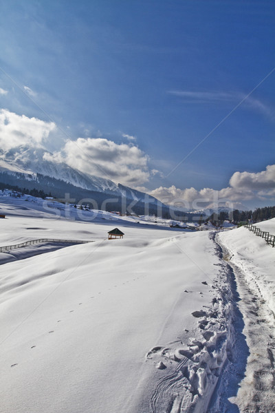 Snow covered tourist resort, Kashmir, Jammu and Kashmir, India Stock photo © imagedb