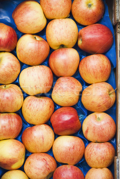 蘋果 水果 組 市場 歐洲 商業照片 © imagedb