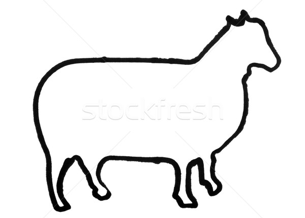 Schets schapen zwarte horizontaal zoogdier Stockfoto © imagedb