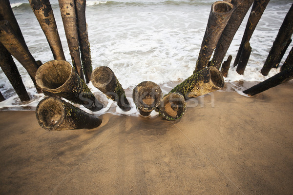 Wooden posts on the beach, Pondicherry, India Stock photo © imagedb