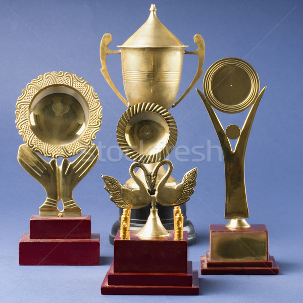 pims_20080925_sa0330 Stock photo © imagedb