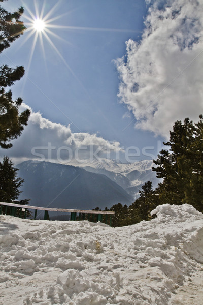 Snow covered landscape, Kashmir, Jammu And Kashmir, India Stock photo © imagedb