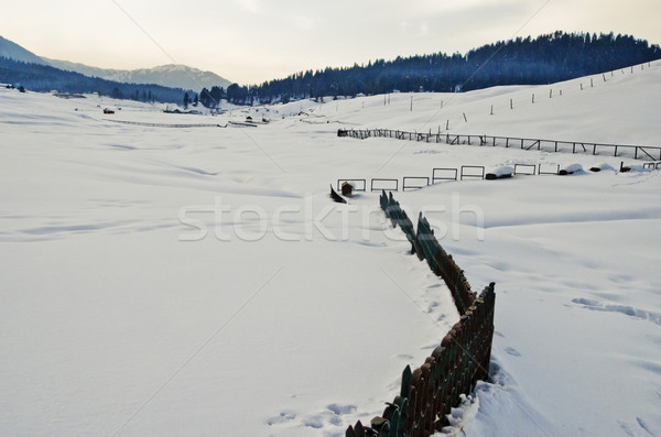 Ski resort in winter, Gulmarg, Jammu And Kashmir, India Stock photo © imagedb