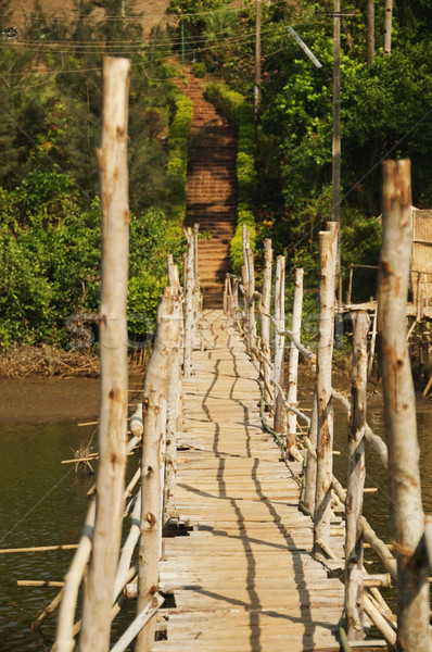 Legno ponte fiume goa India legno Foto d'archivio © imagedb