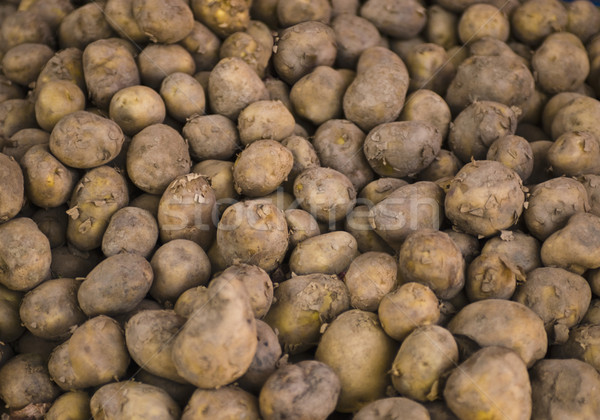 Full frame vue brut pommes de terre marché new delhi Photo stock © imagedb