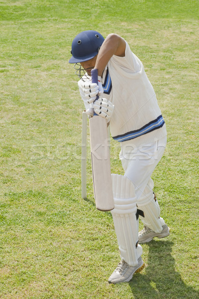 商業照片: 板球 男子 運動 場 綠色 / cricket