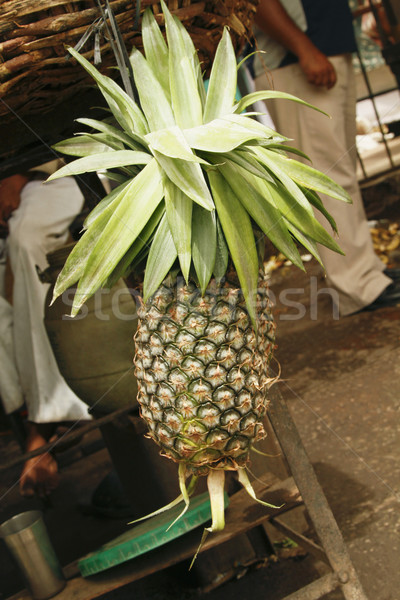 Primo piano ananas impiccagione parco fotografia India Foto d'archivio © imagedb