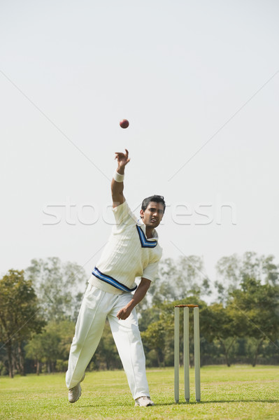 Kriket top atan oyuncu eylem çim adam spor Stok fotoğraf © imagedb