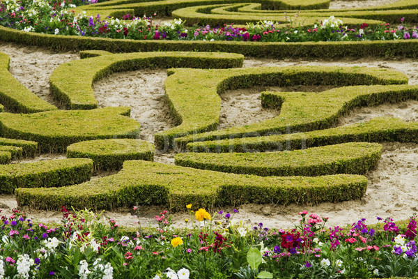 Vue jardin versailles Paris [[stock_photo]] © imagedb