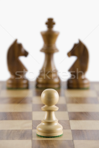 pims_20080715_ps0006 Stock photo © imagedb