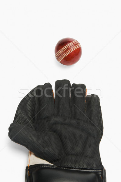 Közelkép krikett labda sport biztonság új Stock fotó © imagedb