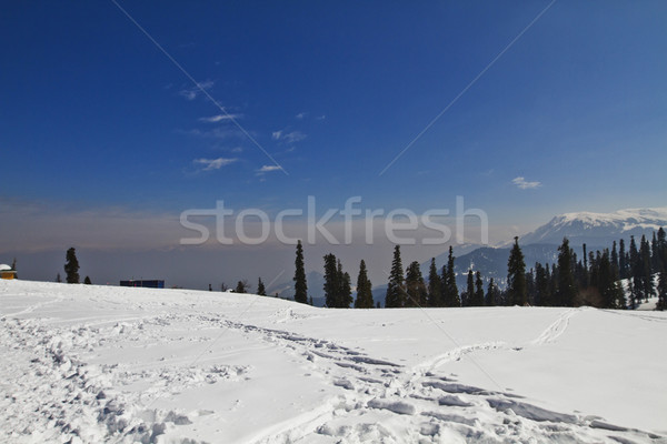 Ski slopes on a snow covered landscape, Kashmir, Jammu And Kashm Stock photo © imagedb