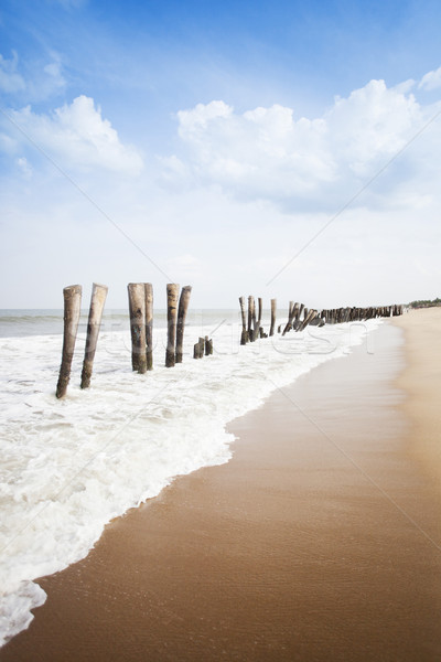 Holz Strand Indien Himmel Meer Sand Stock foto © imagedb