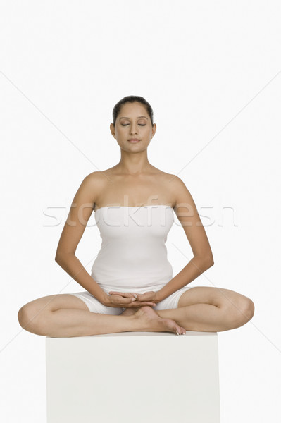 pims_20090812_sh0016.jpg Stock photo © imagedb