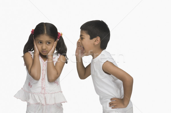 Lány fülek fivér kiált gyerekek gyerekek Stock fotó © imagedb