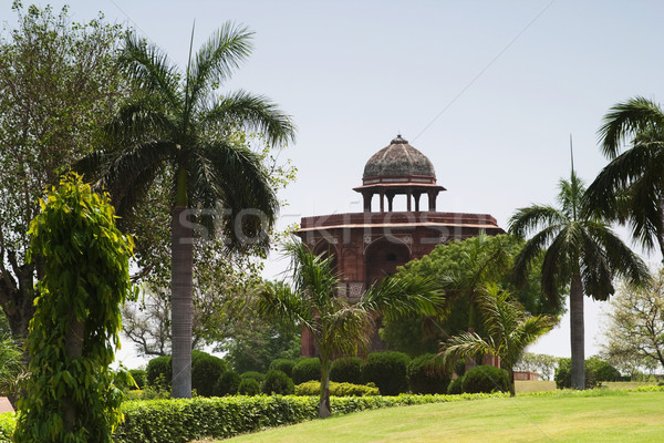 Torre alberi fort vecchio Delhi India Foto d'archivio © imagedb