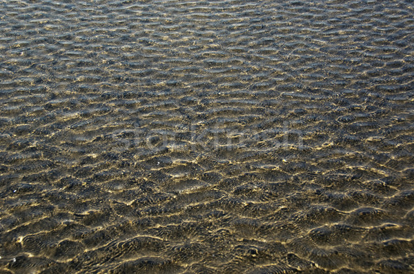 Wzór powierzchnia wody goa Indie środowisk fotografii Zdjęcia stock © imagedb