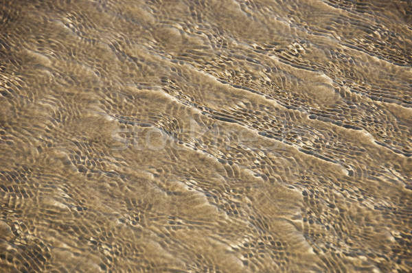 Wzór piasku goa Indie plaży środowisk Zdjęcia stock © imagedb
