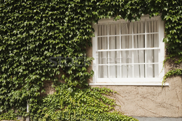 Stock photo: pims_20100731_ml0034.jpg