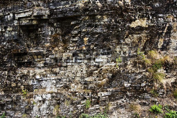 Rock formations, Shimla, Himachal Pradesh, India Stock photo © imagedb