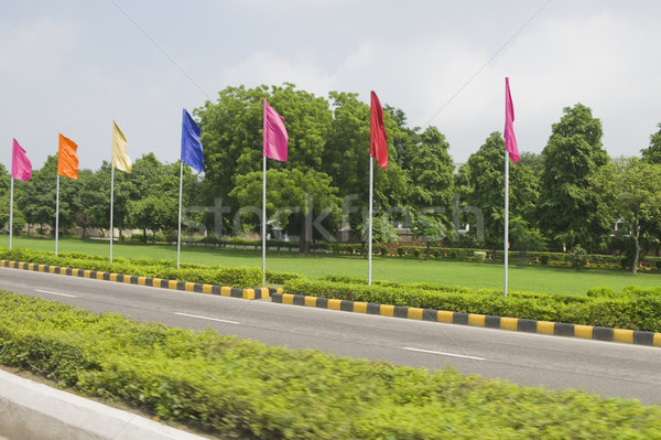 Drapeaux bord de la route chemin new delhi Inde arbre [[stock_photo]] © imagedb