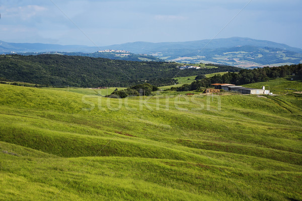 Landscape Stock photo © imagedb