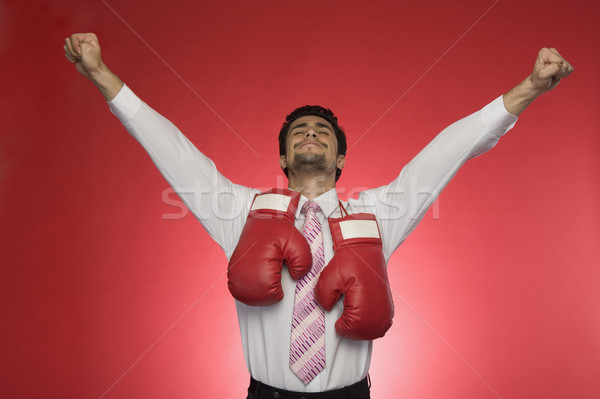 Сток-фото: бизнесмен · боксерские · перчатки · человека · спорт · успех · защиту