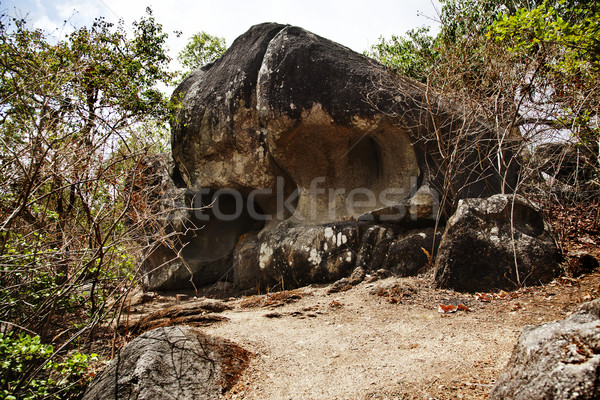 Kaya balayı nokta bölge ağaç doğa Stok fotoğraf © imagedb