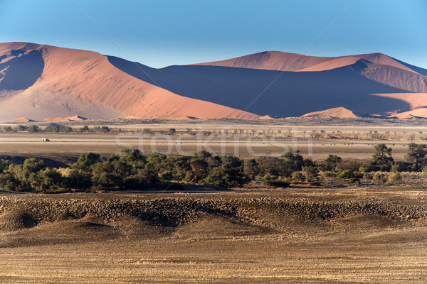 Sossusvlei, Namibia Stock photo © imagex