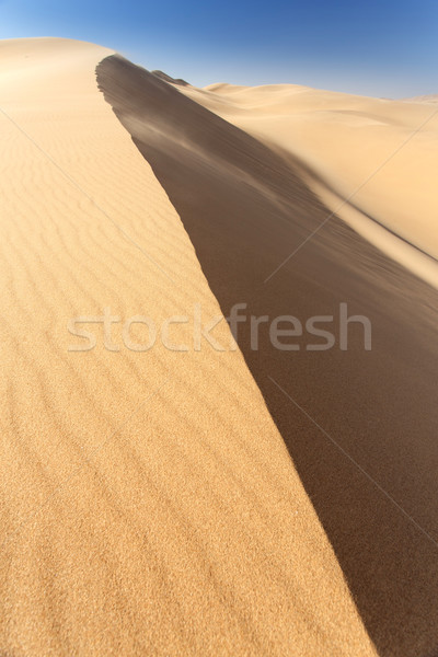 Desert in Namibia, Africa Stock photo © imagex