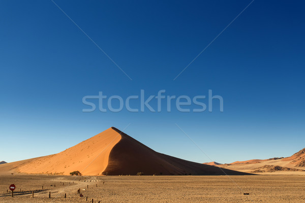 Sand Dunes at Sossusvlei, Namibia Stock photo © imagex
