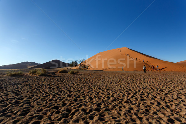 Sand Dunes at Sossusvlei, Namibia Stock photo © imagex