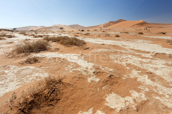Намибия пустыне Африка небе пейзаж синий Сток-фото © imagex