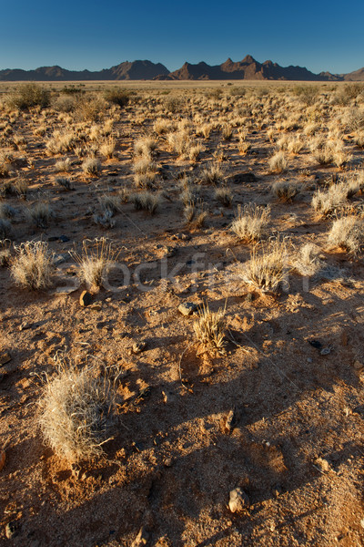 Намибия пустыне Африка небе горные синий Сток-фото © imagex