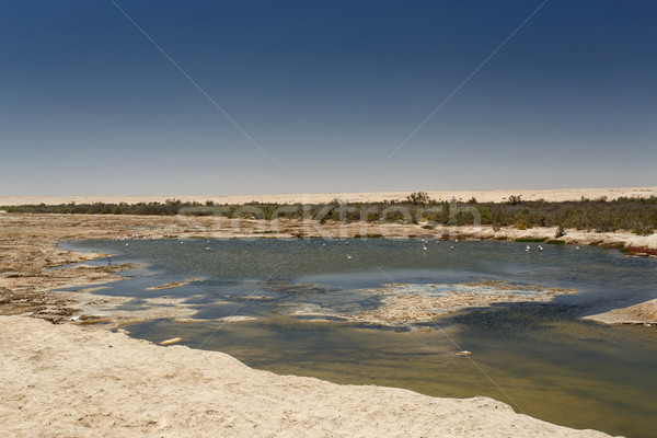 Lagoon in Sossusvlei, Namibia Stock photo © imagex