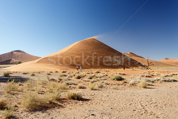 Sossusvlei, Namibia Stock photo © imagex