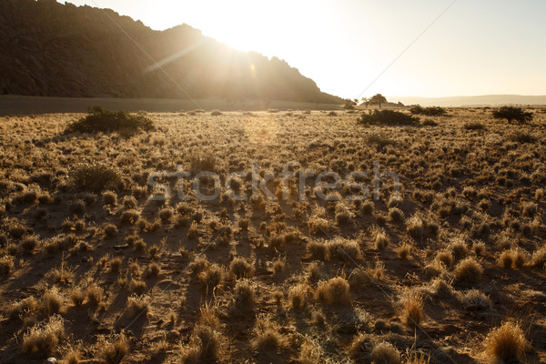 Намибия пустыне Африка солнце закат горные Сток-фото © imagex