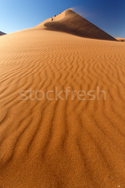 Sand Dunes at Sossusvlei, Namibia Stock photo © imagex