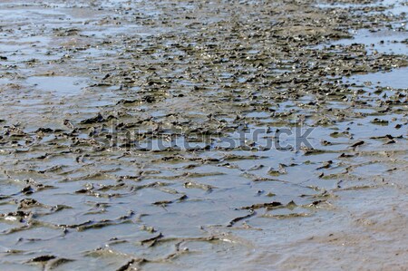 Plin de noroi teren apă mare ocean Imagine de stoc © imagex