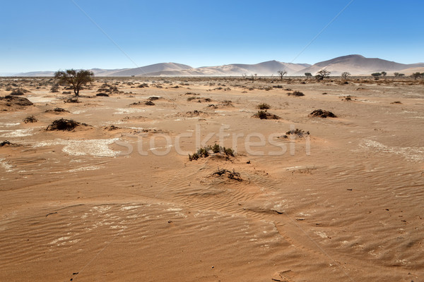 納米比亞 沙漠 非洲 天空 景觀 藍色 商業照片 © imagex