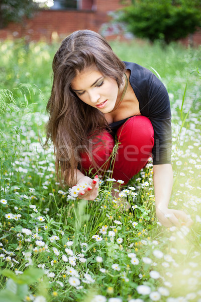 Stock photo: woman in park gather spring flowers